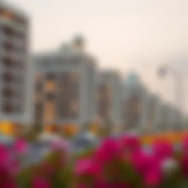 Magnificent Understanding UAE NOC Properties