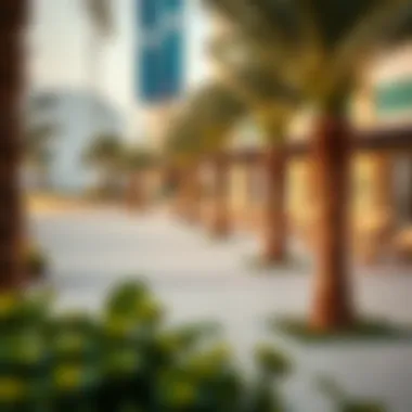 Amenities in Al Wasl community