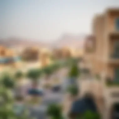 View of Al Wasl neighborhood