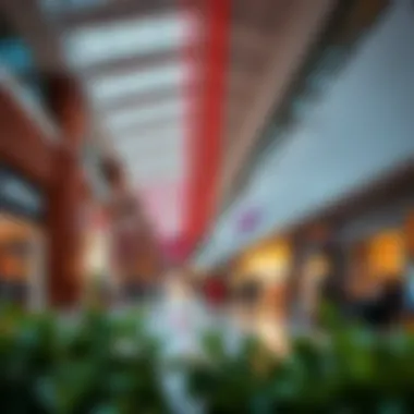 Diverse Retail Offerings at Capital Mall Diverse retail offerings showcased