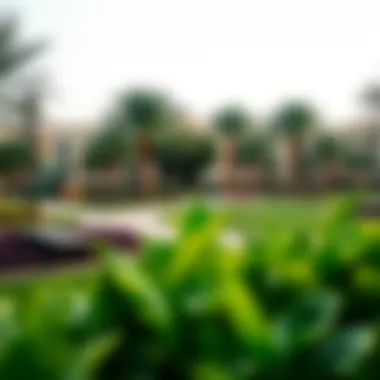 Lush Community Park in International City Dubai Community park in International City Dubai featuring lush greenery and recreational facilities