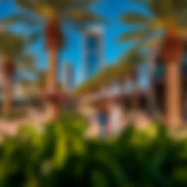 Vibrant lifestyle amenities surrounding Damac Tower including parks and cafes