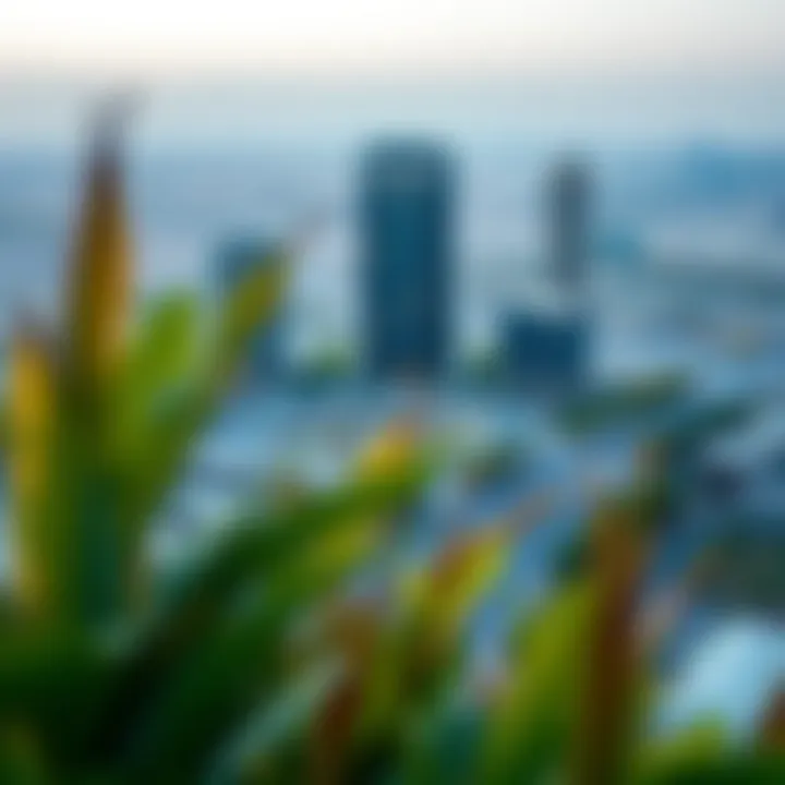 A panoramic view of Arjan district featuring Mizin Tower