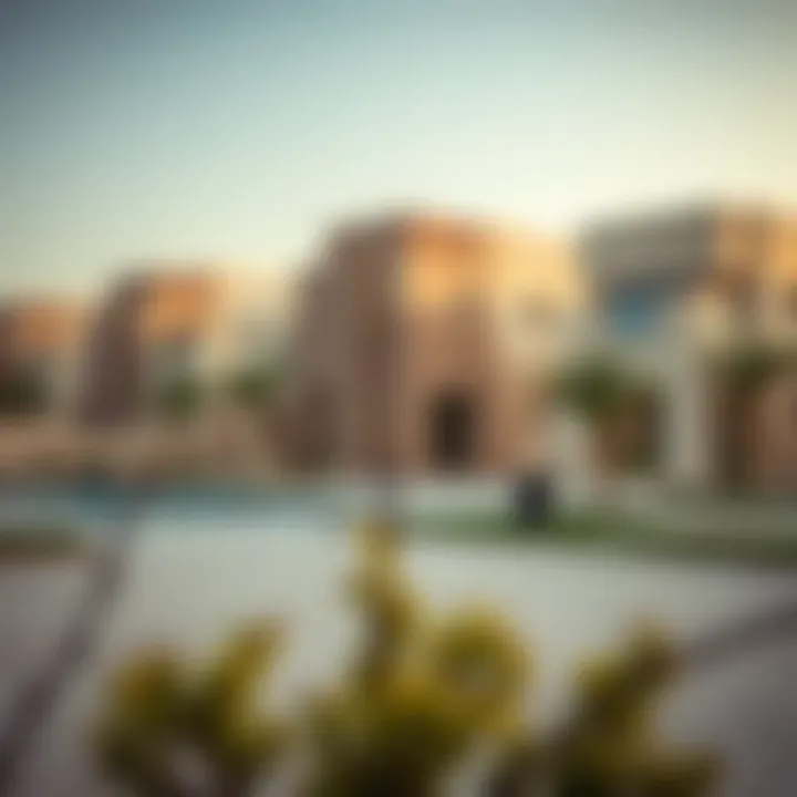 Notable Exploring 1 BHK Villas for Rent in Mussafah