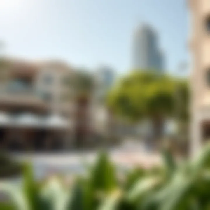 Vibrant community features near Al Noor Building including parks and dining options