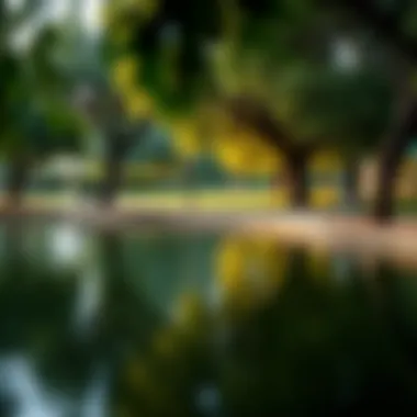 Tranquil Pond in Al Quoz Park A tranquil pond surrounded by trees and benches in Al Quoz Park