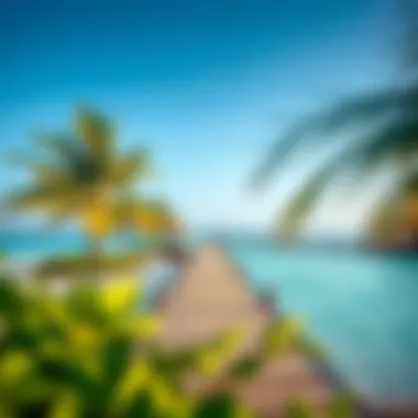 Tranquil Tropical Escape Serene beachfront at a tropical getaway with clear blue waters