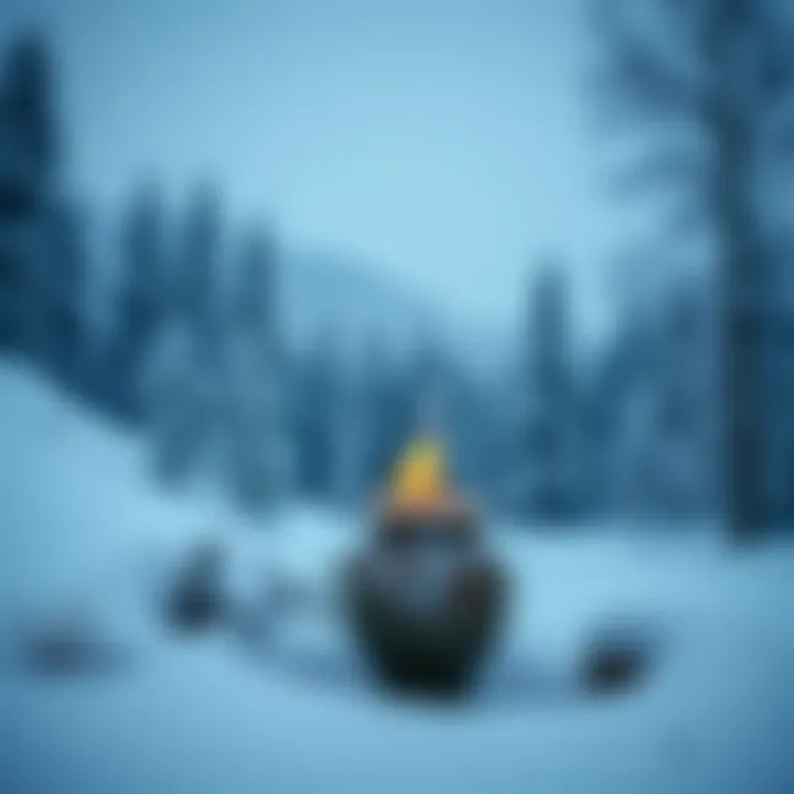 Stunning winter landscape in a snowy destination