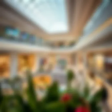 Interior view of DFC Mall highlighting diverse retail offerings