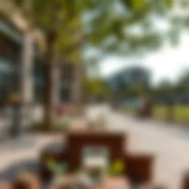 Amenities in Discovery Gardens: Parks and Recreation Amenities available in Discovery Gardens including parks and recreational areas