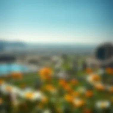 Breathtaking views from Dubai Oasis Emaar highlighting the surrounding landscape