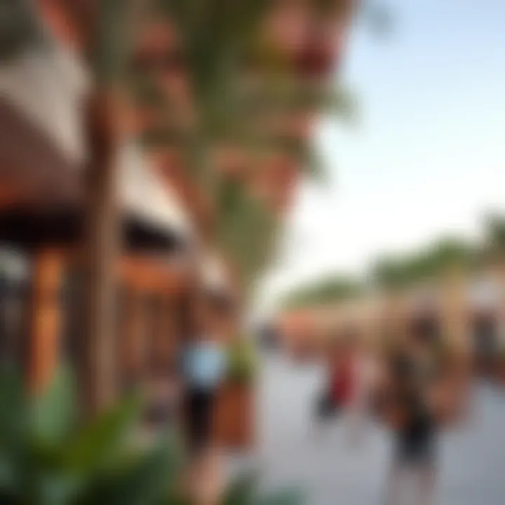 Vibrant community spaces within Dubai Oasis enhancing lifestyle experiences