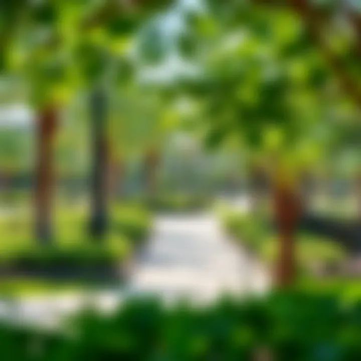 Beautiful parks and greenery in Mudon inviting residents for leisure activities
