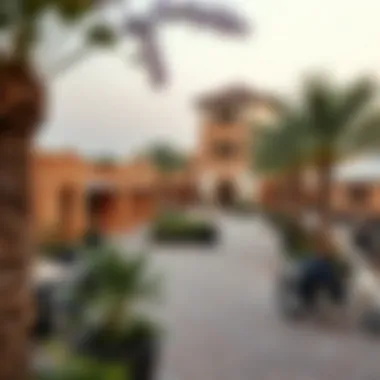 Local Amenities and Attractions in Salt Al Khawaneej Local amenities and attractions in Salt Al Khawaneej