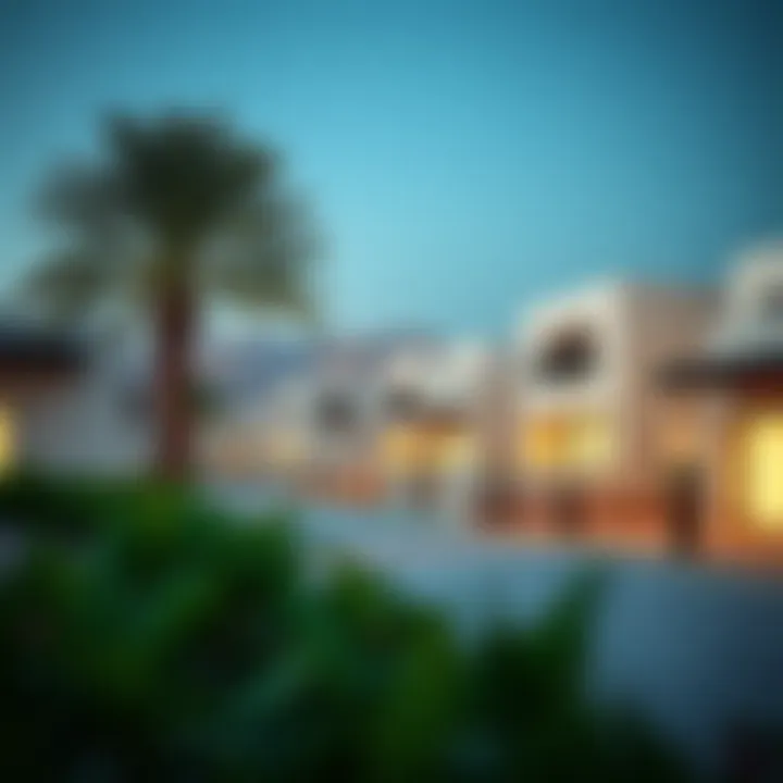 Exploring Seef Village: An Insight into its Unique Landscape and Opportunities Summary