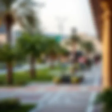 Community Spaces in Souq Al Wasl A serene park area in Souq Al Wasl reflecting community engagement