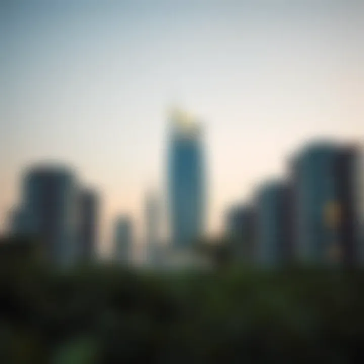 Exploring the Multifaceted Landscape of Al Reem Island Summary