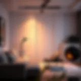 Cozy furnished studio interior showcasing modern decor