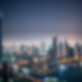 Luxurious Dubai Skyline