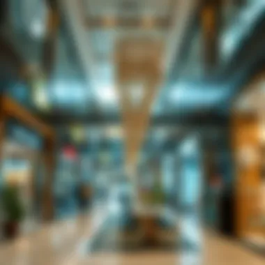 Diverse Retail Offerings at Nad Al Shiba Mall Interior layout of retail spaces in Nad Al Shiba Mall
