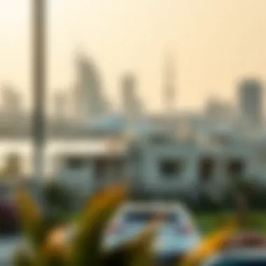 Infographic on tips for a successful Emirates ID renewal