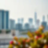 Dubai skyline showcasing residential buildings
