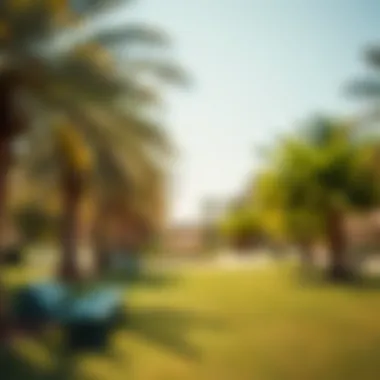 Community Park in Al Qusais An inviting park in Al Qusais, featuring lush greenery and vibrant community spaces.