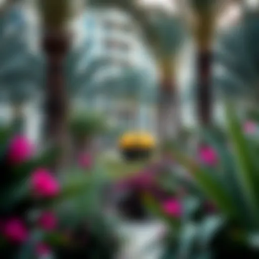 A vibrant palm garden showcasing diverse flora in an urban Dubai setting