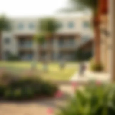 Recreational Spaces Promoting Student Well-being Outdoor area of a school with students participating in sports and recreational activities