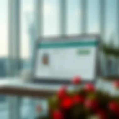 Official Platform for Visa Status Inquiry Website interface for visa status verification