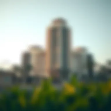 Expatriates and UAE visa status
