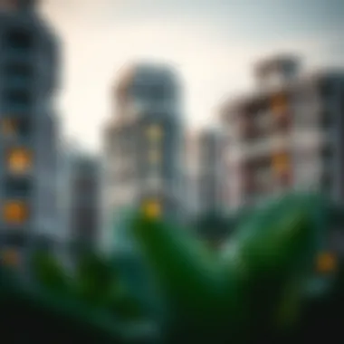 Modern Residential Buildings in Al Karamah Modern residential buildings in Al Karamah highlighting real estate trends