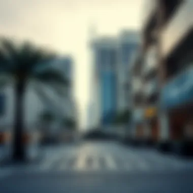 Understanding the Cost of Living in Dubai Summary Understanding the Cost of Living in Dubai Summary